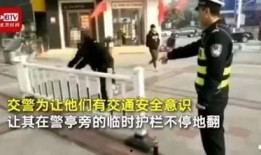 爆料视频被采纳,爆料视频背后的惊人内幕