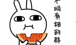 暗中吃瓜知乎免费阅读,暗中吃瓜，免费阅读背后的秘密